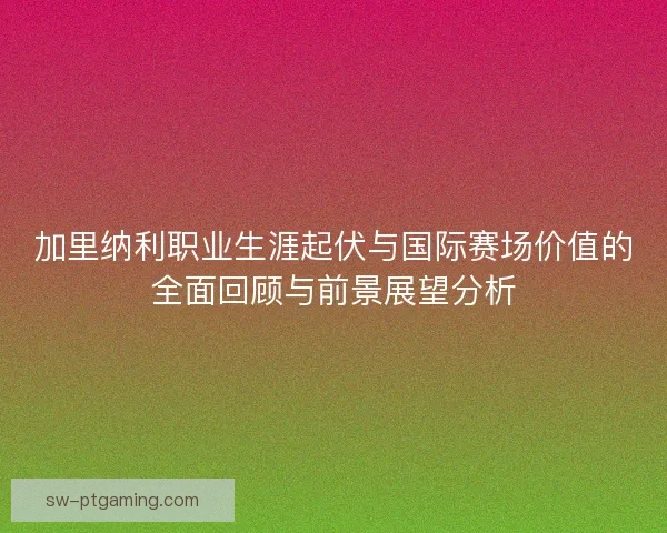 加里纳利职业生涯起伏与国际赛场价值的全面回顾与前景展望分析